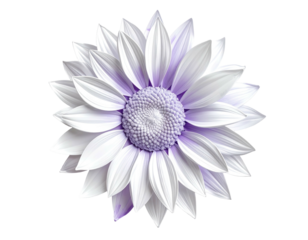 Isolated, serene flower. Purple-white petals & center