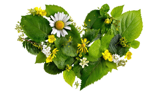 A heart-shaped arrangement of vibrant green leaves and delicate white and yellow flowers, symbolizing nature. - Powered by Adobe