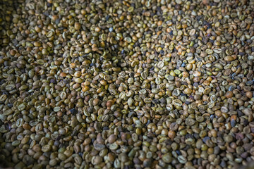 Full screen isolated image of a bunch of coffee beans