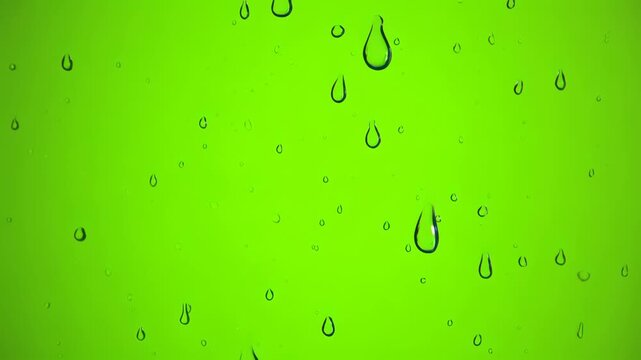 Water droplet green background minimalist pattern with reflective liquid drops and glossy water drop closeup condensation bead creating fresh calm