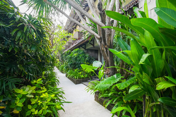 A quiet garden without many people passing by where many green tropical plants decorate it