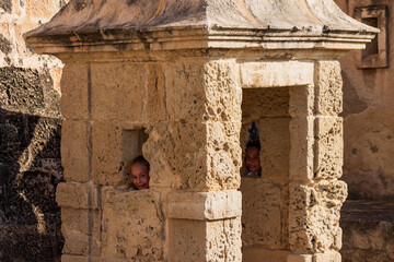 Two smiling sisters framed by a watch tower window in an ancient castle construction during a sunny spring day. © Malik
