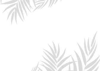 Soft Transparent Leaf Shadow Overlay realistic Effect in Vector Format for Clean, Realistic, and Nature-Themed Mockups