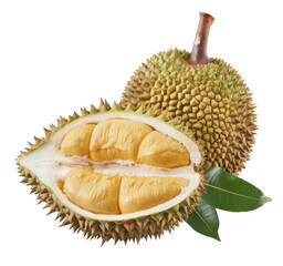 durian fruit, cut open, isolated on white background.