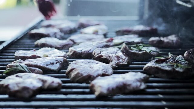 Pieces of juicy meat are grilled on a barbecue grill in the smoke. Slow motion