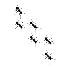 Ant Trail Line
