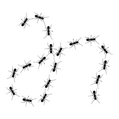 Ant Trail Line