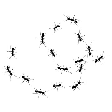 black ants crawling white background clip art preview