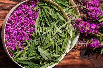 Medicinal herb Ivan-tea. Ivan-tea in a bowl for drying or fermentation. Ivan-tea from flowering...