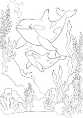 Black and white line art coloring page. Marine wild animals.A cute mother orca and her happy calf
