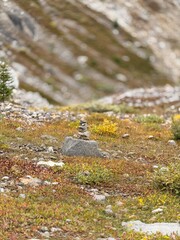 stream in the mountains