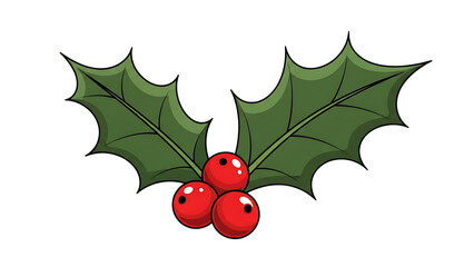 Illustration of holly with red berries isolated on transparent background