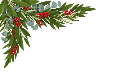 Corner arrangement of eucalyptus, olive branches and red berries isolated on transparent background