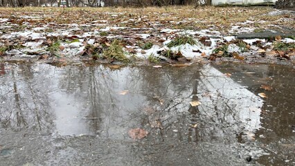 Reflection of bare trees and fallen leaves in a puddle on a wet surface, surrounded by patches of grass and remnants of snow, creating a serene winter landscape