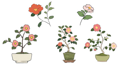 ツバキのミニ盆栽イラスト_透過素材