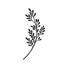 minimal plant branch leaves, icon, leaf, vector