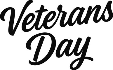 Patriotic veterans day celebration design with american flag elements