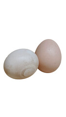 eggs on white background