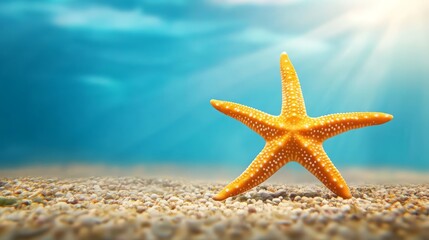 Orange starfish rests on sandy seabed under bright blue underwater light rays