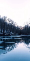 Icy lake reflecting barren trees under a pale sky,  outdoors,  barren