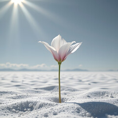 A lone, ethereal bloom, unlike any flower known, unfurls in a boundless field of serene nothingness, its form the singular focus, Medium shot, viewed through a dual perspective &ndash; above, the flower