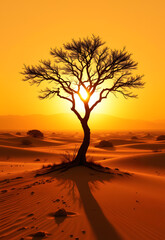 A solitary arboreal form, silhouette sharply etched against a hyperreal desert panorama, radiating heat haze and mirage