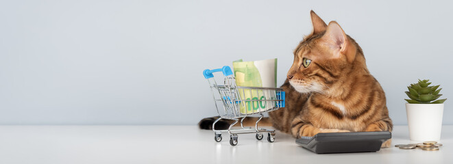 A Bengal cat with a calculator, money, and a shopping cart