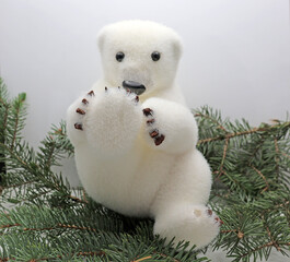 un ours blanc assis sur les branchages du spin