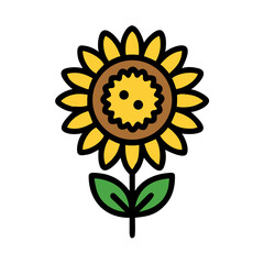 sunflower isolated on white