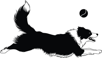 Energetic Black and White Vector Illustration of a Border Collie or Similar Dog Breed Running and Leaping to Catch a Tennis Ball in Mid-Air