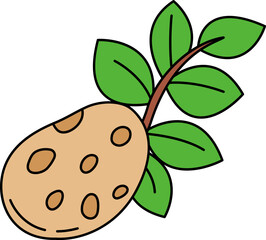 single illustration of A potato