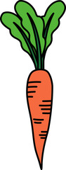 single illustration of A carrot