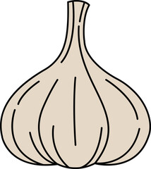 single illustration of a garlic