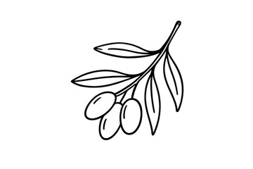 Minimalist black outline of an olive branch with ripe olives and fresh leaves isolated on white