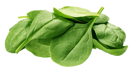 Spinach isolated, full depth of field