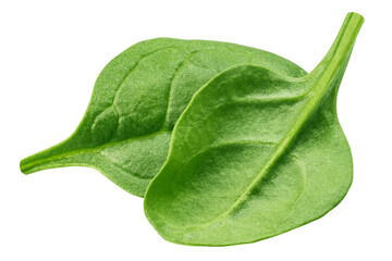 Spinach isolated, full depth of field