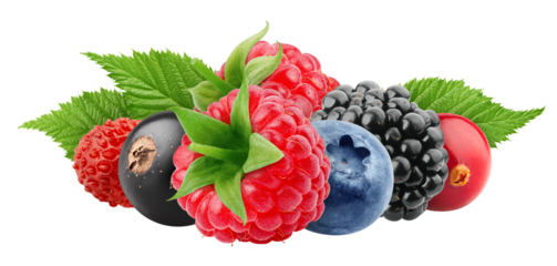 wild berries mix, raspberry, currant, blueberry, blackberry, isolated, full depth of field
