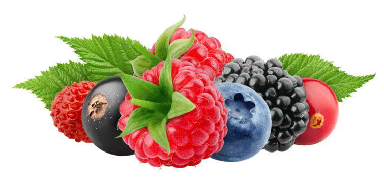 wild berries mix, raspberry, currant, blueberry, blackberry, isolated, full depth of field