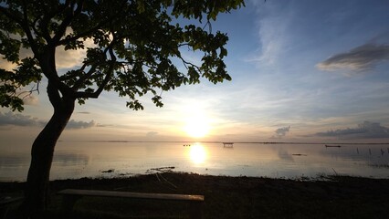 A beautiful sunset view over a vast expanse of water, with the shadows of trees and a bench on the lower left contrasting beautifully with the bright golden orange light and soft blue sky.