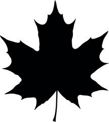 Black maple leaf silhouette icon