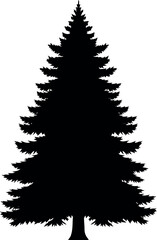 Black spruce tree silhouette