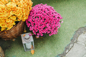 Bright pink and yellow chrysanthemums in baskets sit beside a lantern on grass.