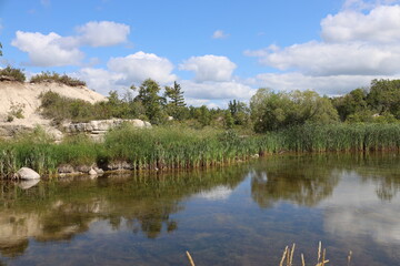 reeds, limestone ledge, sandy soil mound, dense boreal forest reflected in placid lake (pond) waters under partly cloudy rich blue skies in summer sunshine (landscape)