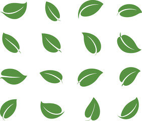 Leaf silhouette grid, botanical foliage icons, eco pattern design, environmental education set, green nature symbols, cad drawing flat vector illustration