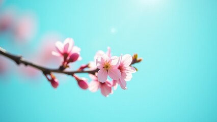 Delicate pink cherry blossom branch with fresh flowers and buds against bright turquoise sky with large copyspace, concept of spring season, wellness brands, wedding invitations