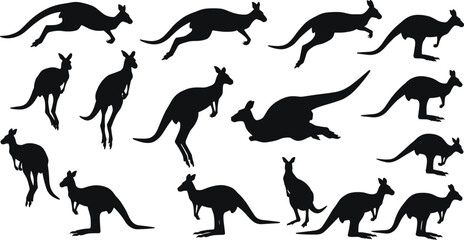 Kangaroo silhouette collection, Australian wildlife poses illustration, animal artwork, jumping kangaroo design, nature and wildlife concept