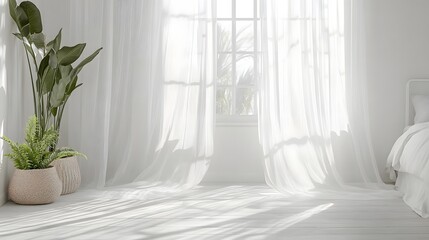 Bright interior space features sheer white curtains diffusing sunlight across a minimalist room setup