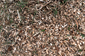 General stock.

Gardening Freshly chipped wood chips on an allotment. Using wood chips in a mulch adds to healthier and diverse soil life. 

wood, chips, organic, matter, garden, gardening, brown,