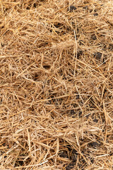 General stock.

Gardening. Straw used to as a winter covering and mulch on an allotment vegetable patch. 
