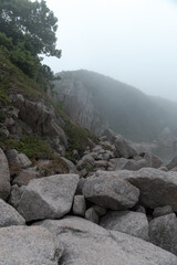 Wet sea rocks in a mystical fog